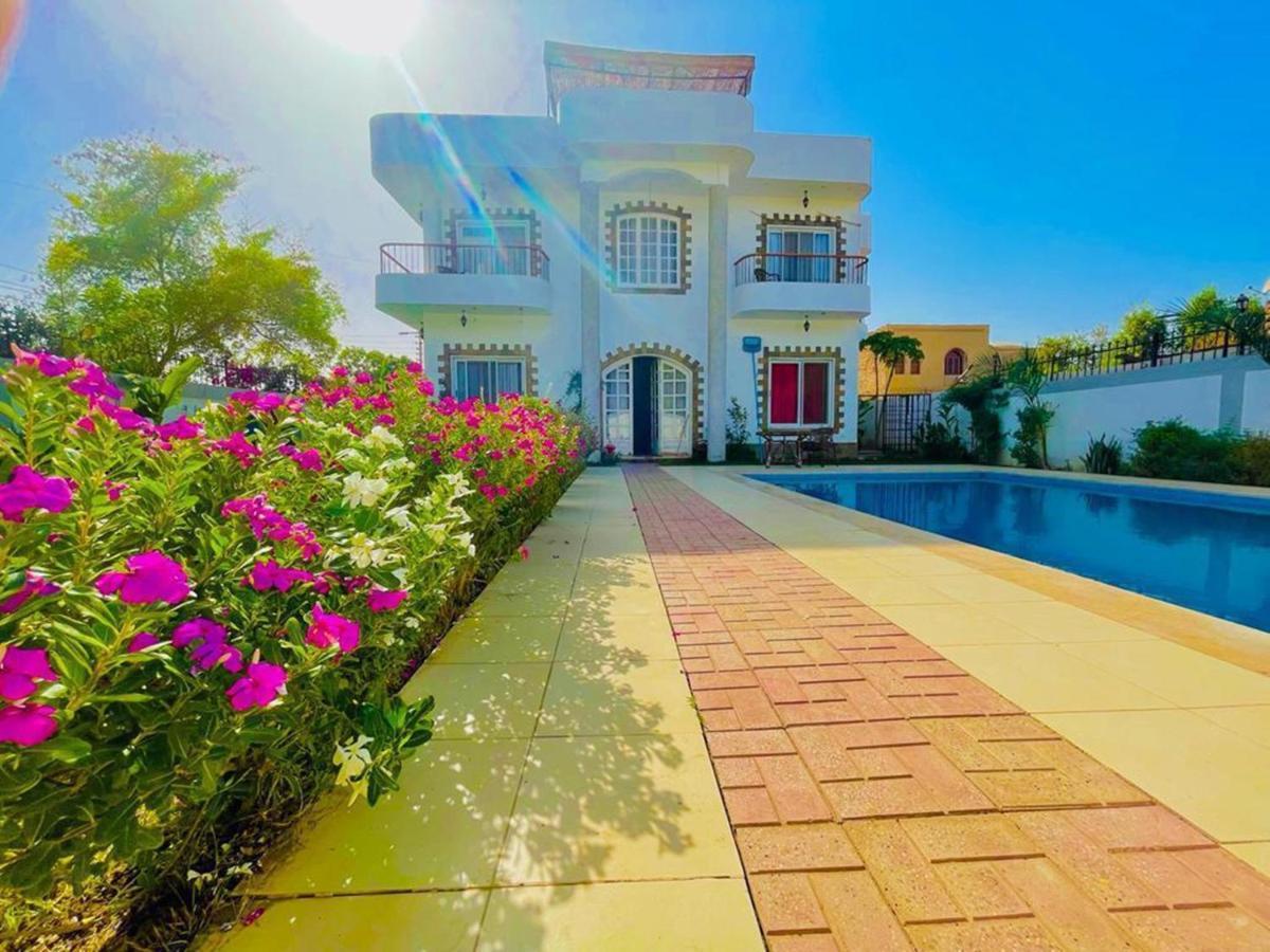 Ali Luxury Villa Luksor Dış mekan fotoğraf